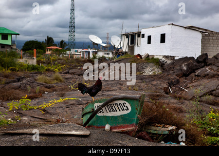 Einer der wenigen bewohnten Städte von Puerto Villamil, Isabella Island, Galapagos. Stockfoto