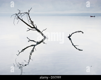 Bolsena See mit Wasserreflexion von einem Toten Stamm und eine kleine Fisherdorf Boot, Mittelitalien Stockfoto