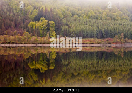 Thirlmere im Lake District an einem noch morgen. Stockfoto