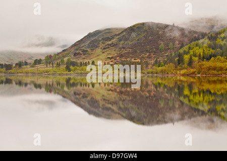 Thirlmere im Lake District an einem noch morgen. Stockfoto