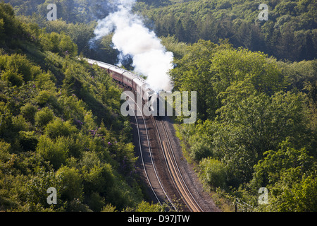 Die königlichen Herzogtums Dämpfen durch Glyn Valley über Draw Holz Viadukt in Cornwall Stockfoto