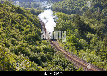 Die königlichen Herzogtums Dämpfen durch Glyn Valley über Draw Holz Viadukt in Cornwall Stockfoto