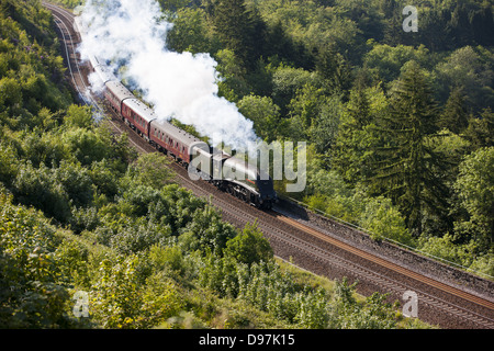 Die königlichen Herzogtums Dämpfen durch Glyn Valley über Draw Holz Viadukt in Cornwall Stockfoto