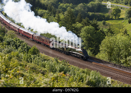 Die königlichen Herzogtums Dämpfen durch Glyn Valley über Draw Holz Viadukt in Cornwall Stockfoto