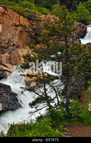 Wasserfälle am Fluss Swiftcurrent unter See Josephine Glacier Nationalpark viele Gletscher Einheit Montana USA Stockfoto