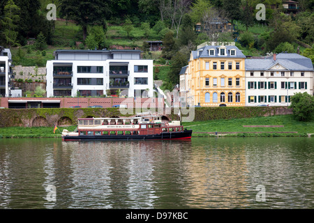 Flussschiff auf Neckar bei Heidelberg, Deutschland, Europa. Stockfoto