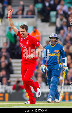 London, UK. 13. Juni 2013.  Englands James Anderson feiert während der ICC Champions Trophy internationalen Cricket match zwischen England und Sri Lanka an The Oval Cricket Ground am 13. Juni 2013 in London, England. (Foto von Mitchell Gunn/ESPA/Alamy Live-Nachrichten Stockfoto