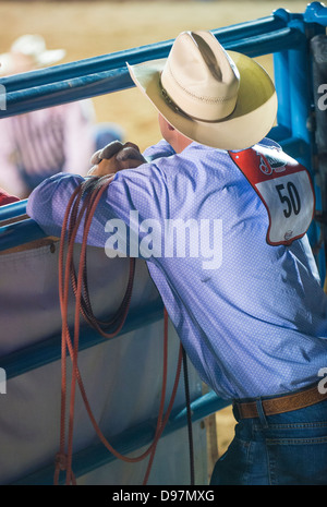 LAS VEGAS - 17.Mai: Cowboy Teilnehmer beim Helldorado Tage professionelle Rodeo in Las Vegas, USA am 17. Mai 2013 Stockfoto