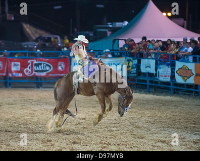 Ein gefällter Pferd Wettbewerb beim Helldorado Tage Professional Rodeo Cowboy Teilnehmer in Las Vegas Stockfoto