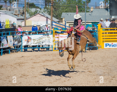 Ein gefällter Pferd Wettbewerb beim Helldorado Tage Professional Rodeo Cowboy Teilnehmer in Las Vegas Stockfoto