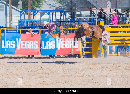 Ein gefällter Pferd Wettbewerb beim Helldorado Tage Professional Rodeo Cowboy Teilnehmer in Las Vegas Stockfoto