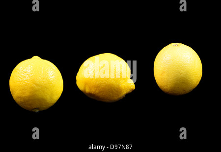 Zitrone Zitrusfrüchte isoliert auf schwarz Stockfoto