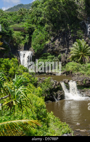 Maui-Wasserfall mit üppiger tropischer vegetation Stockfoto