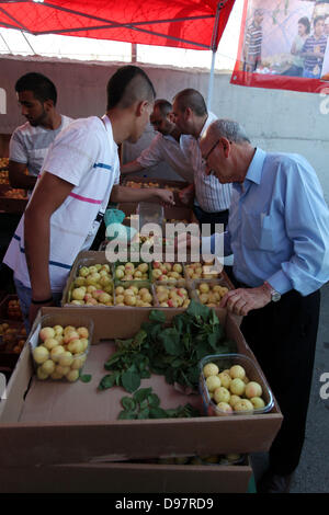 13. Juni 2013 - Dschafna, West Bank, Palästina - Palästinenser beteiligen sich an der Eröffnung des '' Apricot Ausstellung '' in der West Bank Dorf Dschafna nördlichen Ramallah, 13 Juni, 20132 (Credit-Bild: © Issam Rimawi/APA Images/ZUMAPRESS.com) Stockfoto