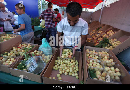 13. Juni 2013 - Dschafna, West Bank, Palästina - Palästinenser beteiligen sich an der Eröffnung des '' Apricot Ausstellung '' in der West Bank Dorf Dschafna nördlichen Ramallah, 13 Juni, 20132 (Credit-Bild: © Issam Rimawi/APA Images/ZUMAPRESS.com) Stockfoto