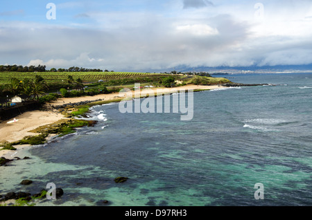 Mauis mit blauem Himmel und Lavafelsen Stockfoto