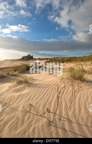 Sanddünen bei Bamburgh mit Blick auf die Burg, Northumberland, England. Frühling (April) 2013. Stockfoto