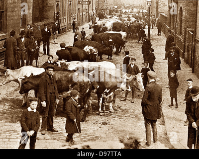 Keighley Scott Street Viehmarkt frühen 1900er Jahren Stockfoto