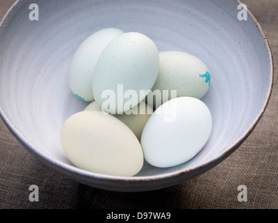 Schön natürlich gefärbte blau und grün frei reichen Eiern in weißen handgemachte Keramik Schüssel Stockfoto