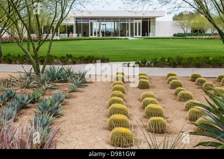 Das barrel Kakteen, die Teil der Dessert Garten am Sunnylands Zentrum und Gärten in Palm Dessert, CA. Stockfoto