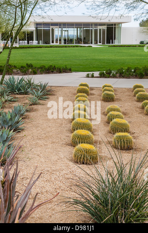 Das barrel Kakteen, die Teil der Dessert Garten am Sunnylands Zentrum und Gärten in Palm Dessert, CA. Stockfoto