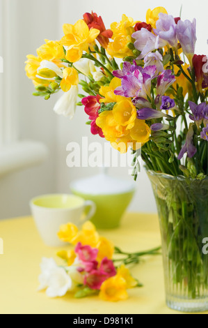 Eine kleine Gruppe von gelb, rot, lila, rosa und weißen Freesien auf einer gelben Tischdecke neben einer Glasvase der gleichen Blumen. Stockfoto