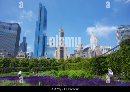 Lurie Gärten, Millennium Park Chicago Skyline im Hintergrund Stockfoto