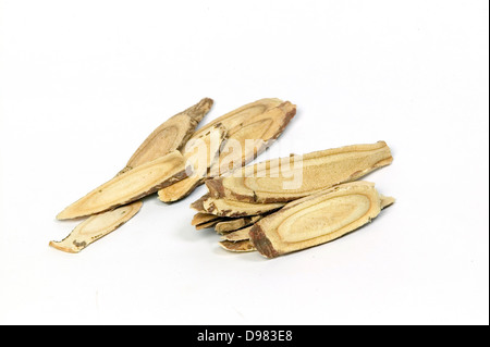 Ein Haufen von in Scheiben geschnitten, getrocknete Süßholzwurzel auf weißem Hintergrund. Stockfoto