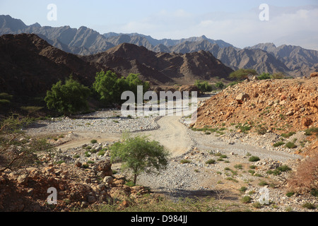 Wadi in Al-Jabal Al Akhdar, Region Batinah, Oman Stockfoto