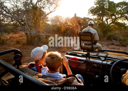 Robin Tetlow Shooter mit Tyler Talmage eine Giraffe aus einem Safari-Land-Cruiser in Phinda Game Reserve anzeigen Stockfoto