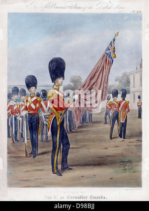 Fähnrich der Grenadier Guards. Beachten Sie "Granaten" auf Kragen und Gürtel. Von R. Ackermann "Kostüme der britischen Armee" 1844. Lithographie Stockfoto