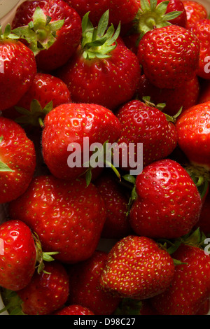 Nahaufnahme von frischen Erdbeeren mit Fokus Stapeln Technik um scharf im gesamten sicherzustellen. Stockfoto