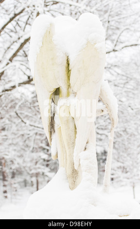 Rückseite der Skulptur des weißen Engel mit Schnee bedeckt. Friedhof in Stockholm, Schweden. Stockfoto