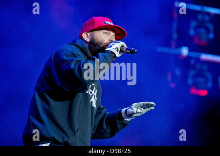 Fred Durst, Sänger von der uns Band Limp Bizkit, führt auf einer Bühne Musik-Festival Rock Im Park in Nürnberg, 9. Juni 2013. Mehr als 70.000 Fans der Rockmusik wurden auf dem Festival erwartet. Foto: DANIEL KARMANN Stockfoto