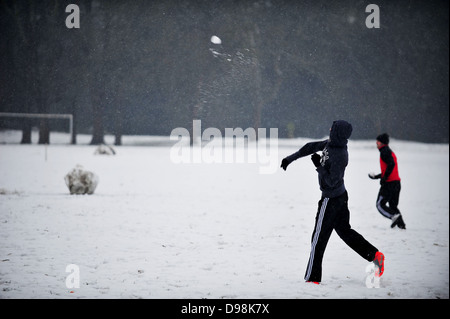 Jugendliche haben einen Schneeball kämpfen im Bute Park, Cardiff. Stockfoto