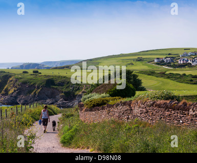 Thurlestone, Devon, England. 3. Juni 2013.  Dame mit Hund am Küstenweg mit Golfplatz und Burgh Island in der Ferne. Stockfoto