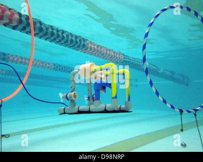 EVERETT, Washington (31. Mai 2013) An Everett (Washington) High School Junior Marine ROTC SeaPerch ferngesteuert Fahrzeug (ROV) Tauchpumpe Manöver durch Hindernisse im Pool Everett YMCA von Snohomish County. SeaPerch ist eine innovative Unterwasser-Robotik-prog Stockfoto