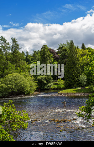 ANGELN AUF LACHS IM JUNI AUF DEM FLUSS NESS AS, WIE ES DURCH DAS STADTZENTRUM FLIEßT Stockfoto