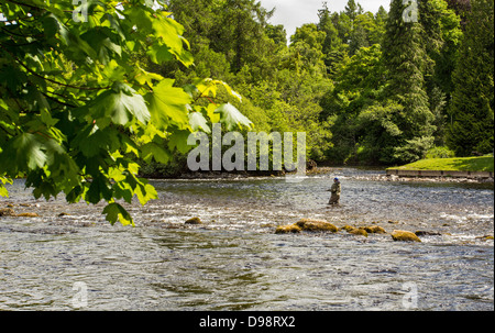 ANGELN AUF LACHS AUF DEM FLUSS NESS AS, WIE ES DURCH DAS STADTZENTRUM FLIEßT Stockfoto