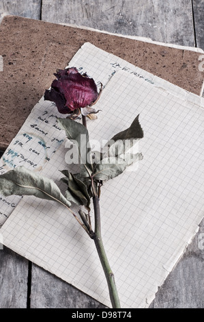 getrocknete Rose auf alten Notebook, Liebesbrief Stockfoto