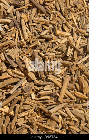 Palo Santo Baum Räucherstäbchen Stockfoto