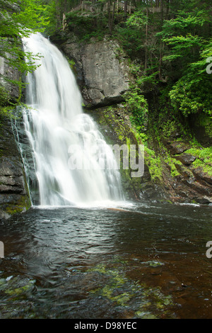 MAIN WASSERFÄLLE BUSHKILL FALLS THEMENPARK BUSHKILL CREEK PIKE COUNTY PENNSYLVANIA USA Stockfoto