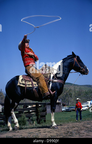 Berühmte Cowboy, Schauspieler und Stuntman Montie Montana Praktiken auf dem Pferd mit seinen Abseilen Lasso vor einem Rodeo in Süd-Kalifornien im Jahr 1971. Stockfoto