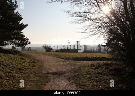 Winter Sonne scheint auf einem Pfad in Torheit Hill, Faringdon Stockfoto