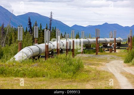 Aleyska oder Trans - Alaska-Pipeline, Chugach Berge, nördlich von Valdez, Alaska, USA Stockfoto