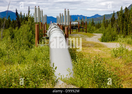 Aleyska oder Trans - Alaska-Pipeline, Chugach Berge, nördlich von Valdez, Alaska, USA Stockfoto