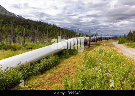 Aleyska oder Trans - Alaska-Pipeline, Chugach Berge, nördlich von Valdez, Alaska, USA Stockfoto