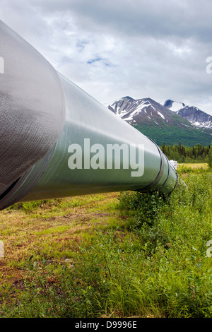 Aleyska oder Trans - Alaska-Pipeline, Chugach Berge, nördlich von Valdez, Alaska, USA Stockfoto