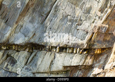 Quarz Vene in Schiefer, in der Nähe von Fowey, Cornwall, Uk Stockfoto