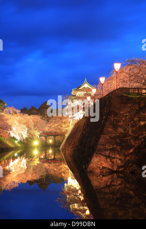 Leuchten von Hirosaki Schloss und Kirschblüten, Aomori, Japan Stockfoto